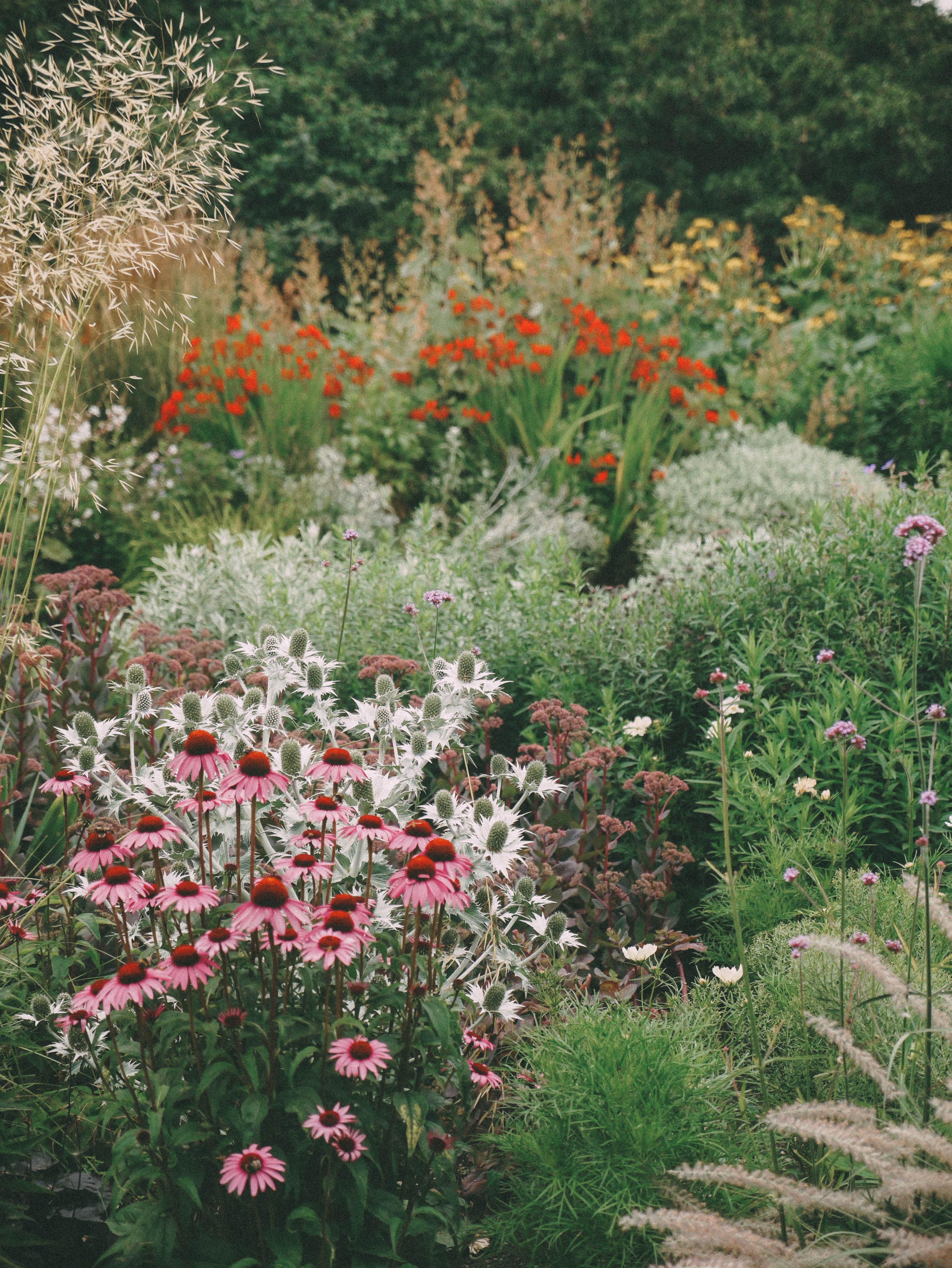 Cambridge University Botanic Garden